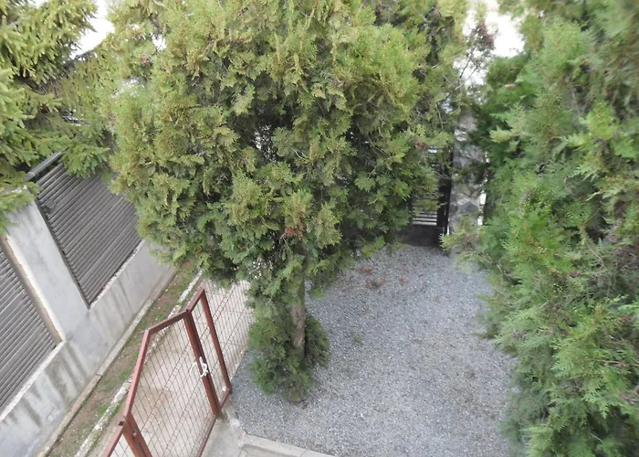 Casa De Vacanta Mady 3*