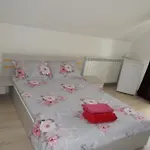 Casa De Vacanta Mady 3*