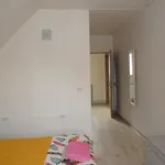 بيت ضيافة Casa De Vacanta Mady Năvodari